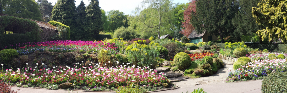 Coombe Woods close to Cafe